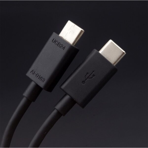 台灣現貨 SONY UCB24 原廠 3A 1m 雙TYPE-C 傳輸線 快充 充電線 OPPO 三星 HTC 皆適用